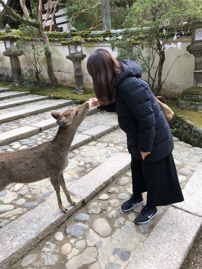 Best Kyoto Tour guiding