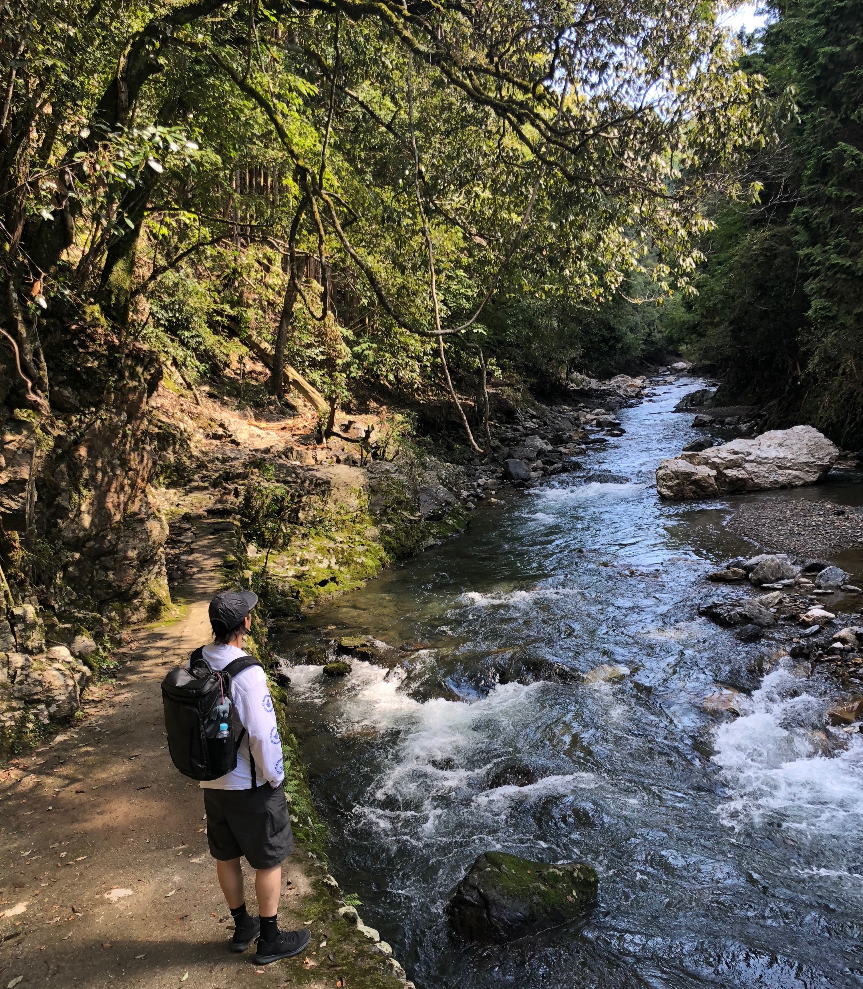 Best Kyoto Tour guiding