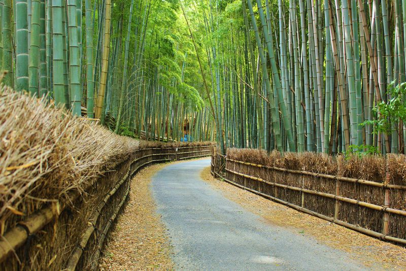 Arashiyama